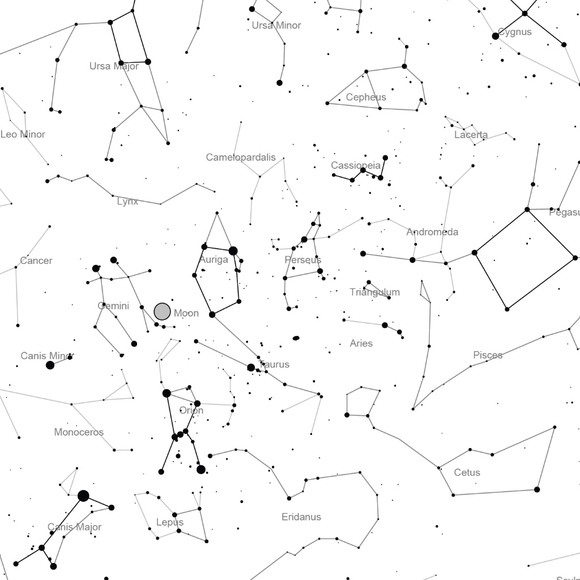 Meet your Posher, Nancy - Picture 1 of 1